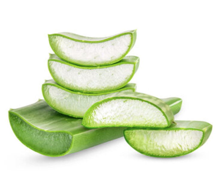 Aloe