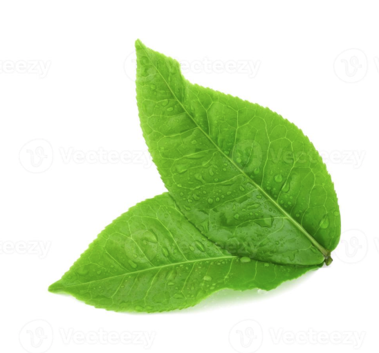 Tè Verde